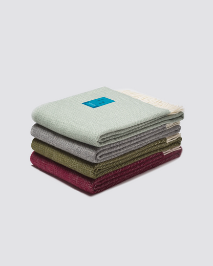 Pled Tender Wool